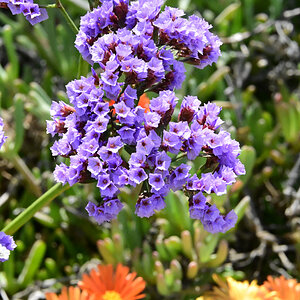_U023093-1200x800.jpeg
