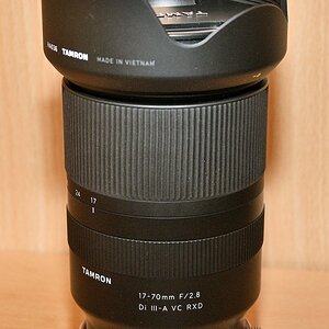 ZFC_3062.JPG