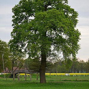 Z8A_0652at2l4fks40p1.jpg