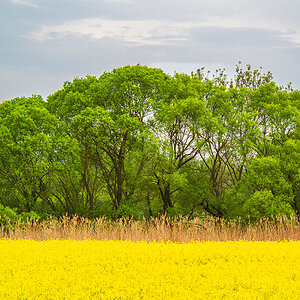 Landschaft.jpg