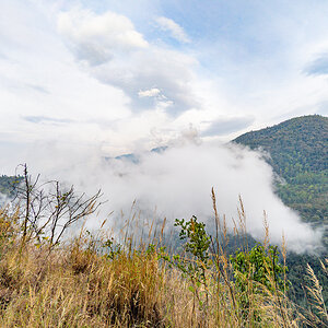 2025-04-10 060 Landscape.jpg