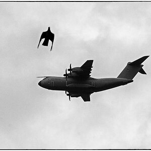 Airbus und Taube BW.jpg