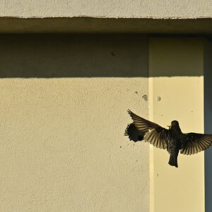 _U014155-denoise-sharpen-crop-1200x800.jpeg