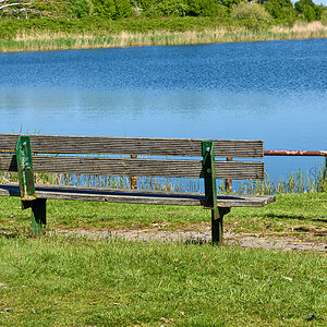OF2_73826.jpg