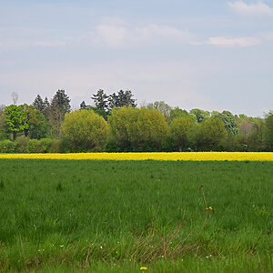 Z8A_0663t0l10fks40p1.jpg