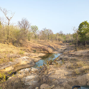 2025-04-15 045 Water Hole.jpg