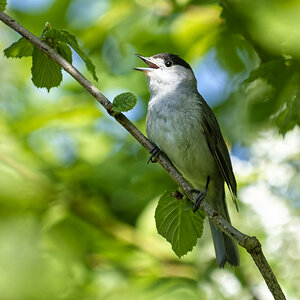 _D729954_DXO.jpg