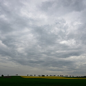 Z8A_0649t1l30fks40p1.jpg
