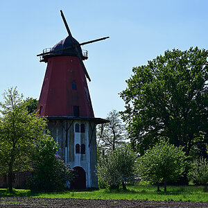 Z8A_0708t5l5s40p1.jpg