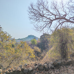 2025-04-16 035 Landscape.jpg
