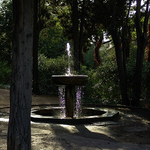 DSC06984.jpg