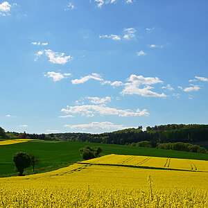 Z8A_0685t5l5fks40p1.jpg