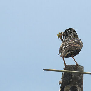 _U024216-rawdenoise-sharpen-crop-1200x800.jpeg