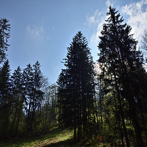 DSC_3363.JPG