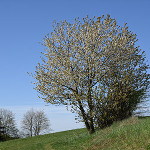 DSC_3408.JPG