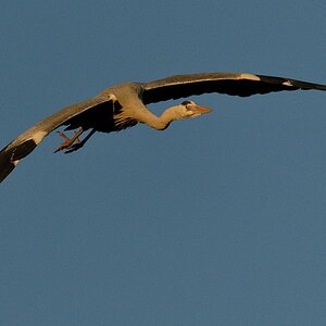 2025_027213_DxO.jpg
