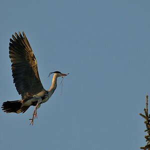 2025_027268_DxO.jpg
