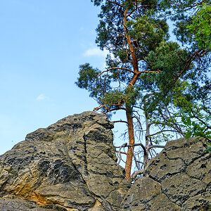 OF2_73939.jpg