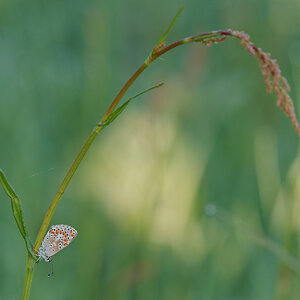 N5065828nikon.jpg