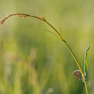 N5065819nikon.jpg