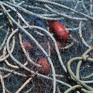 guadeloupe_sainte_rose_hafen.jpg