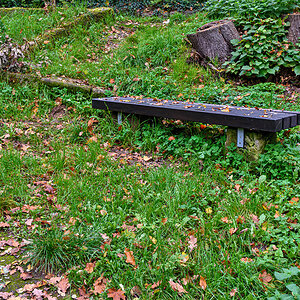 OF2_70919.jpg