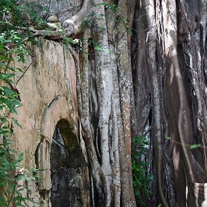 guadeloupe_petit_canal_1.jpg