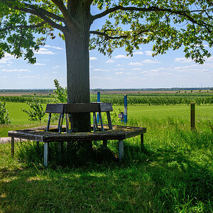 OFZ_00405.jpg