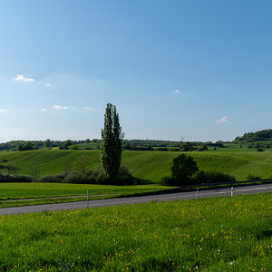 DSC_5972.jpg