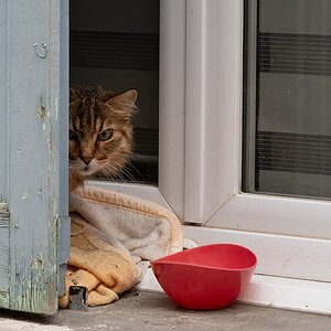 DSC_3159 Kopie-web.jpg