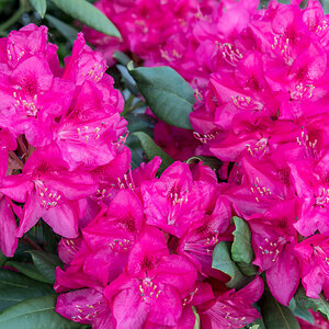 250509-011.jpg