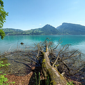 Thunersee.jpg