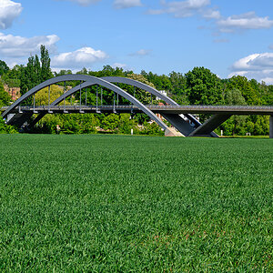 OFZ_00556.jpg