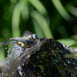 DSC_7817.jpg