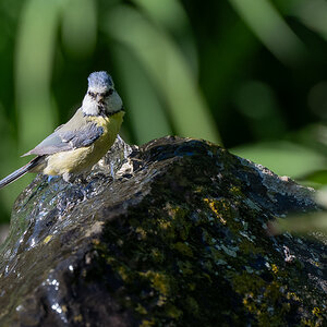 DSC_7838.jpg