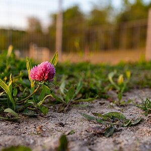 DSC_6107-2.jpg