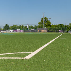 DSC_6203.jpg
