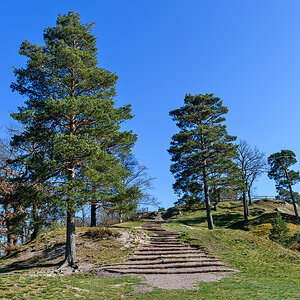 OF2_73600.jpg