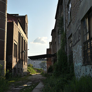 DSC_5483.JPG