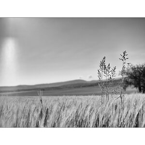 LugnezDSC_2090.jpg