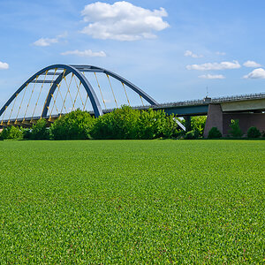 OFZ_00524.jpg