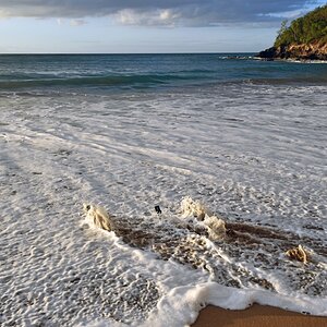 guadeloupe_meer_8.jpg