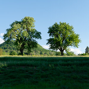 DSC_6021.jpg