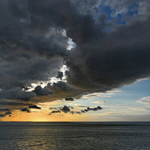 ZSF_2320_1_nff.JPG