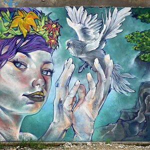 guadeloupe_graffiti_4.jpg