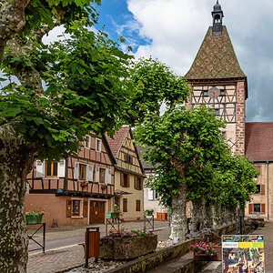 20140424-NIK_8856.jpg