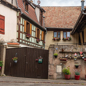 20140424-NIK_8858.jpg