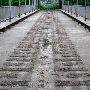 OFZ_00722.jpg
