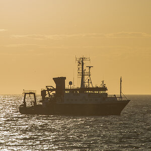 AL633 NF-F-8.jpg
