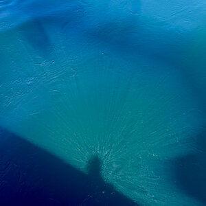 AL633 NF-F-13.jpg